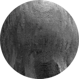 Carbon